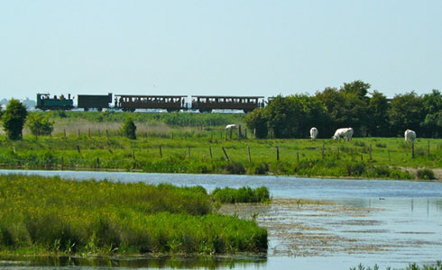 The steam train around the Baie