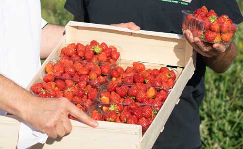 Des produits frais, locaux et de saison